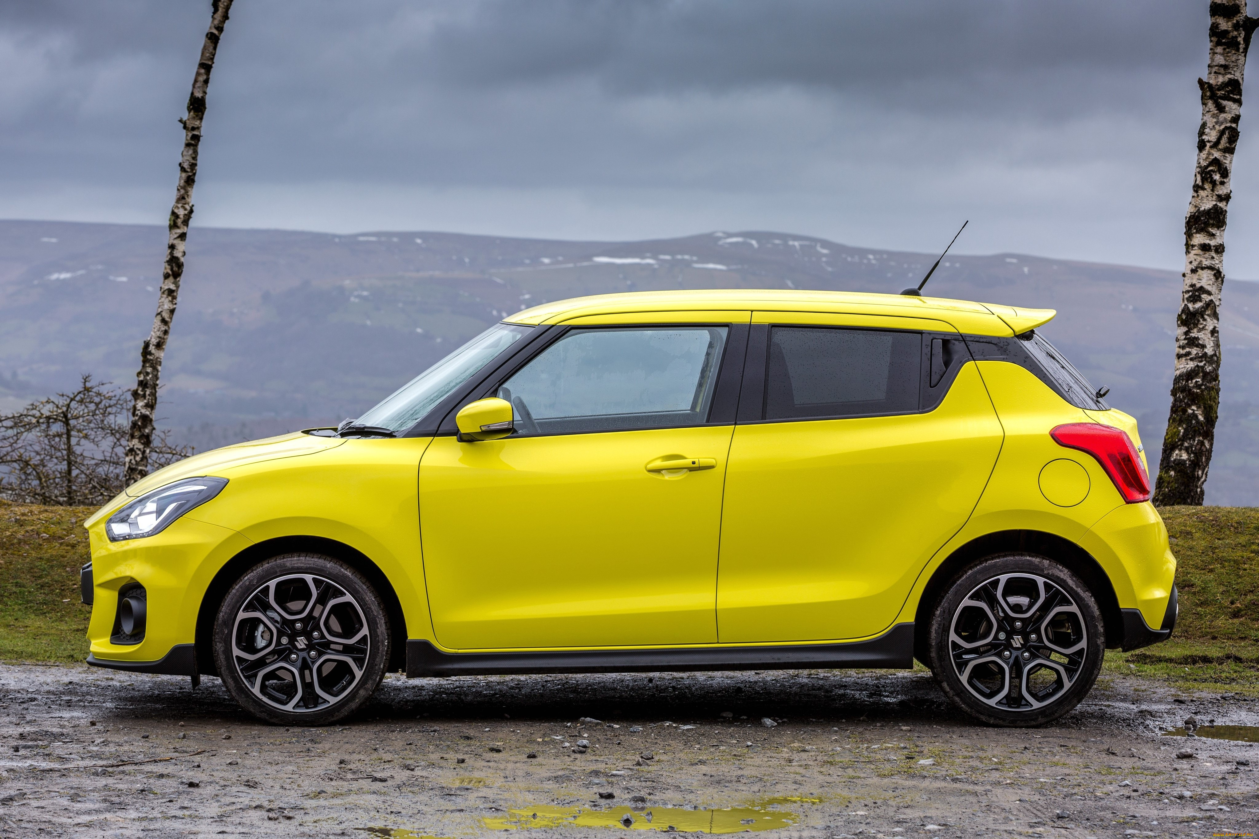 , suzuki